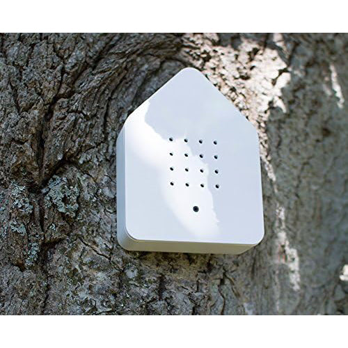 White Acrylic Zwitscher Box - Bird Chirping Ambient Sound - Battery Powered